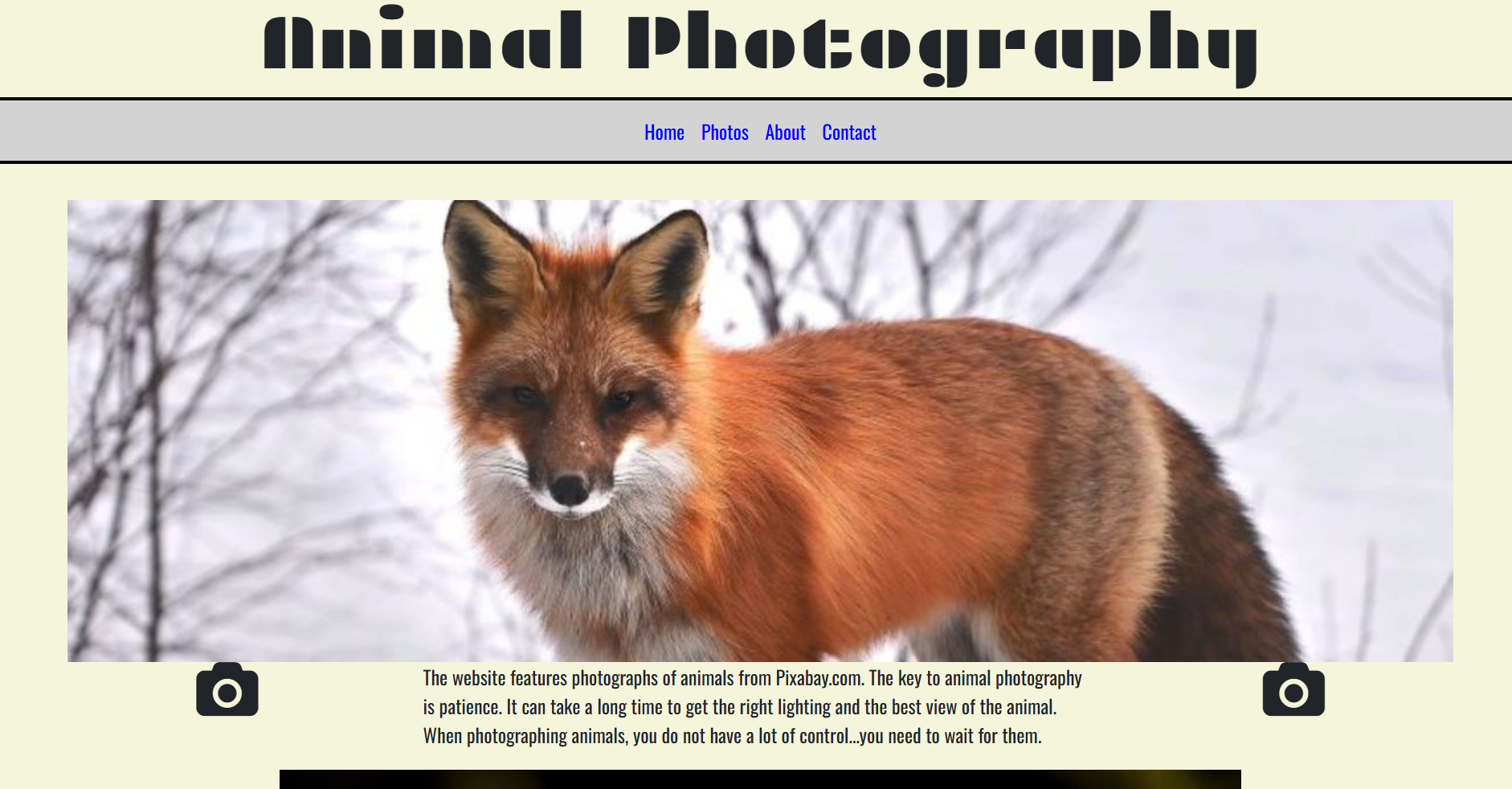 animals website preview